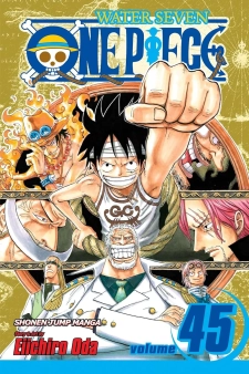 مانجا ون بيس الجزء 45
